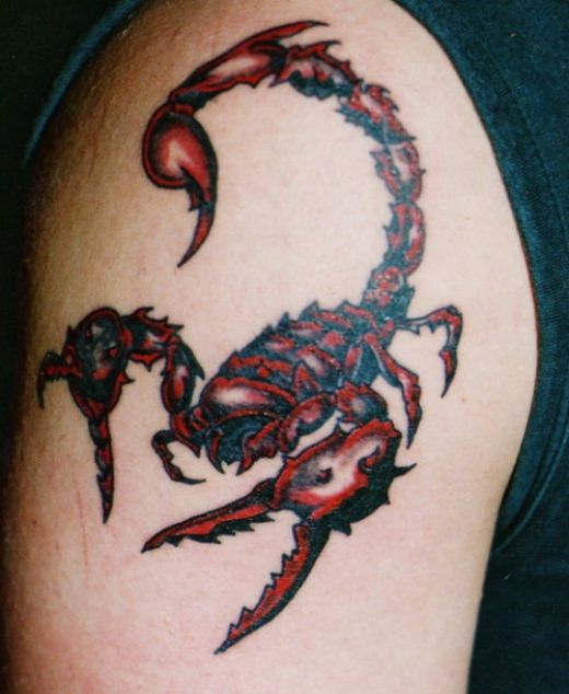 Love this upper arm scorpion tattoo just love the colours and the design
