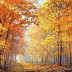 Autumn Season in America | Most Beautiful Place