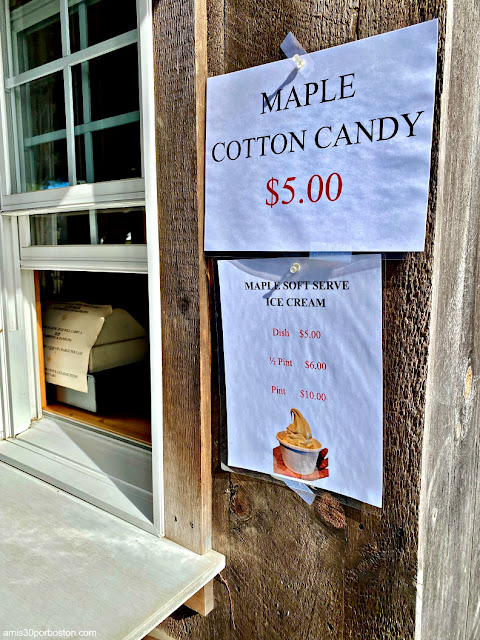 Maple Soft Serve Ice Cream de Merrifield Farm en Maine