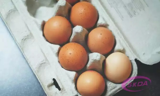 Cara Memilih Telur yang Baik, Berkualitas Bagus Dan Tidak Busuk