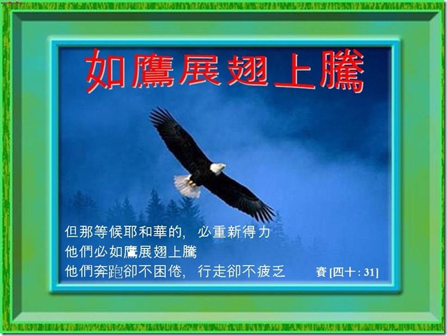 投影片14