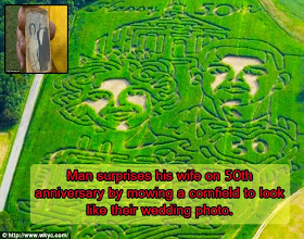 An a-maze-ing 50th anniversary gift: Man surprises his wife by mowing a cornfield maze to look just like their wedding photo