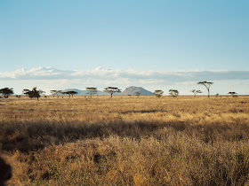 Serengeti National Park Wallpaper