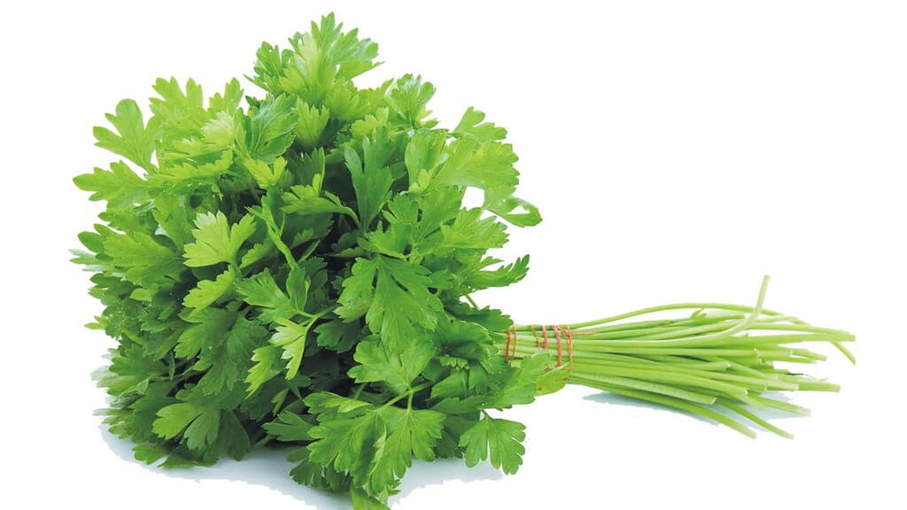 Parsley To Make Your Period Come Faster