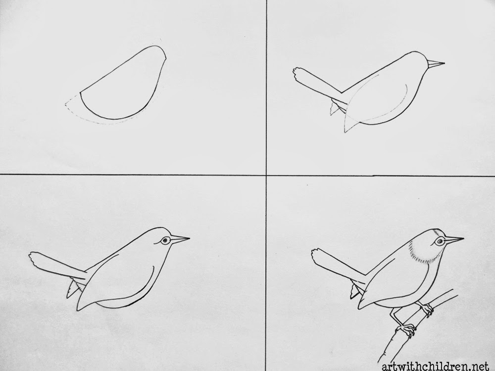 DRAWING A COMMON TAILOR BIRD