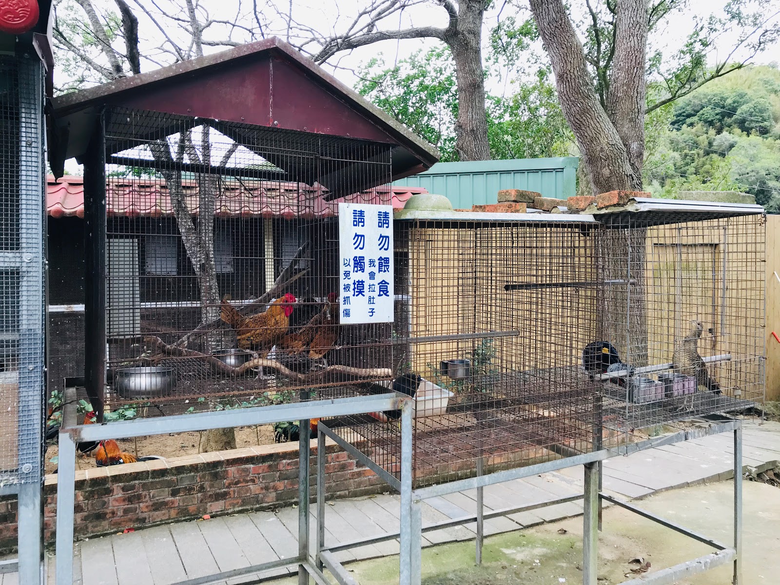 頭屋景點 明德水庫．日新島