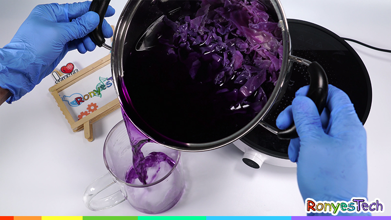 Making a Red Cabbage pH Indicator Science Project Instruction Step3