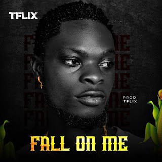 Tflix fall on me