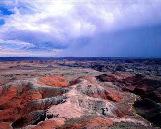 Petrified Forest NP joins with Painted Desert. One book in the shop tells wild tales that should baffle even secularists. Creationists know better.