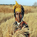 ONU: las actuales ayudas agrícolas distorsionan los precios y perjudican la naturaleza y la salud