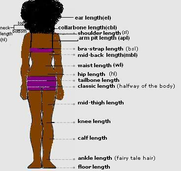  Below is a chart to show the different hair lengths 