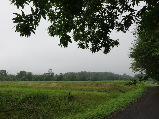 鳥取県西伯郡伯耆町岩立　農道