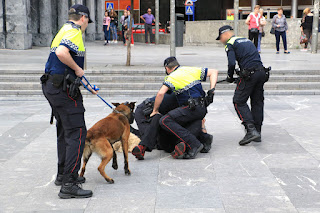 La policía local reduce y detiene a un varón que gritaba durante el homenaje a las víctimas de la Guerra Civil