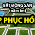 BẤT ĐỘNG SẢN ĐÃ HỒI PHỤC HAY CHƯA?