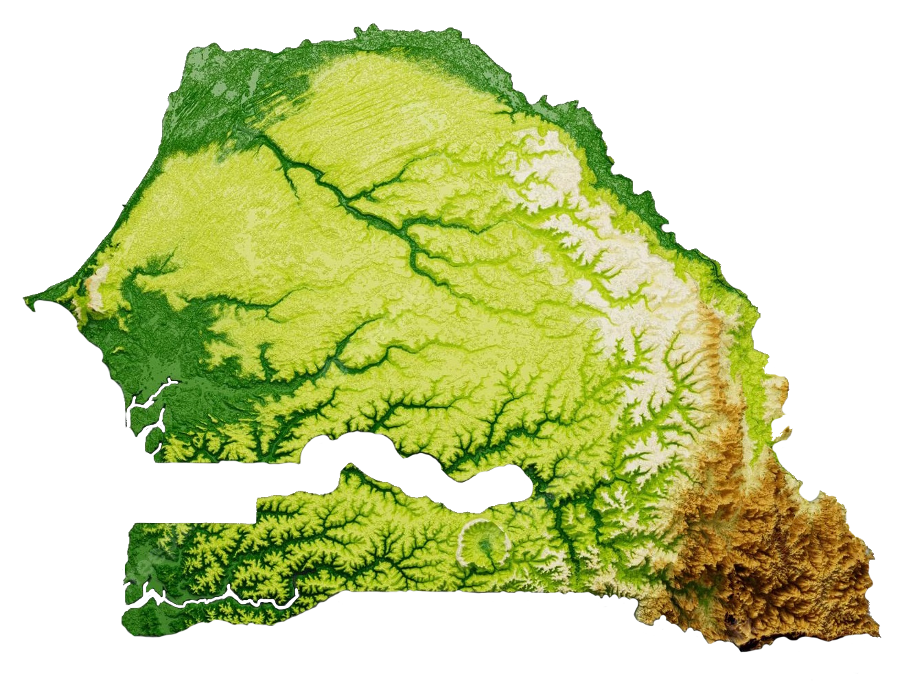 Senegal Relief Map