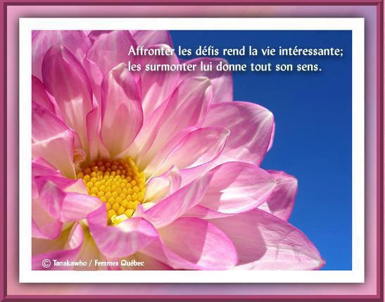 Citation Sur La Vie Option