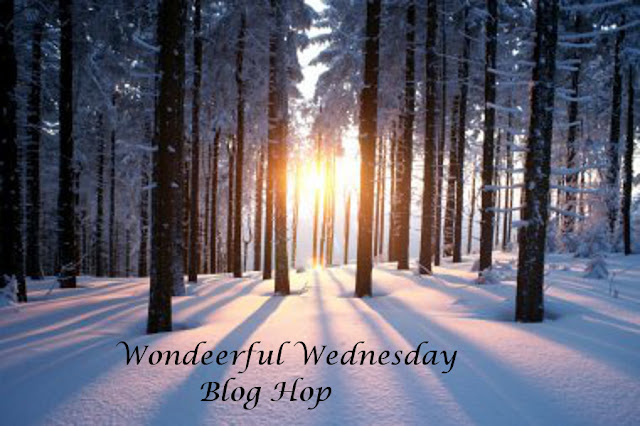 Wonderful Wednesday Blog Hop. Share NOW. #wwbh #wwbloghop #wonderfulwednesdaybloghop #eclecticredbarn