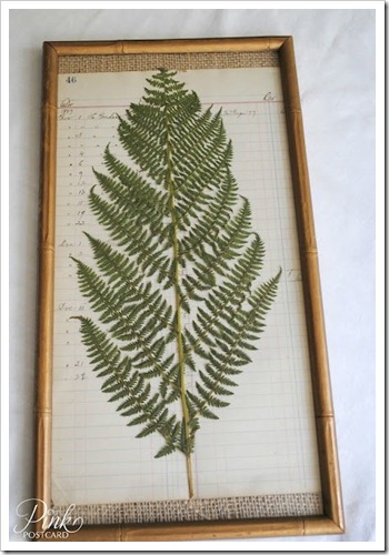 fernprint2