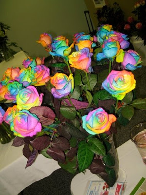 Pictures Of Rainbow Roses. They remind me of colorful