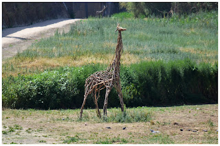 Florencja - Włochy - drewniane zoo nad rzeką Arno