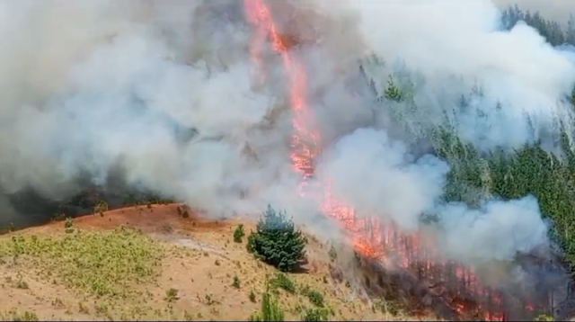 Alerta Roja por Incendio Forestal en Quilquilco, San Pablo