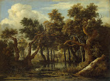 Marsh by Jacob Isaaksz van Ruisdael - Landscape Paintings from Hermitage Museum