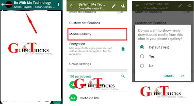 New feature: WhatsApp added Media Visibility to all users