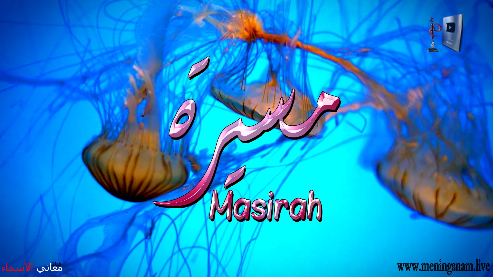 معنى اسم, مسيرة, وصفات, حاملة, هذا الاسم, Masirah,