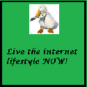 Duck Internet Lifestyle