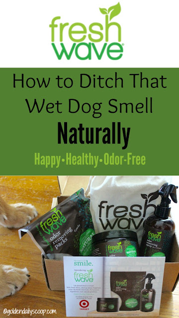 healthy pets, getting rid of wet dog smell naturally with Fresh Wave odor eliminator