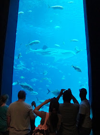 Ocean Voyager gallery, Georgia Aquarium 