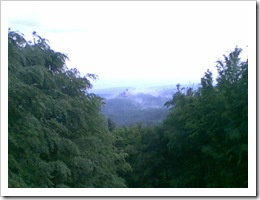 2009-05-16 06-52-16_0022