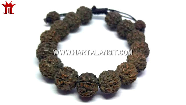 gambar gelang genitri / rudraksha asli