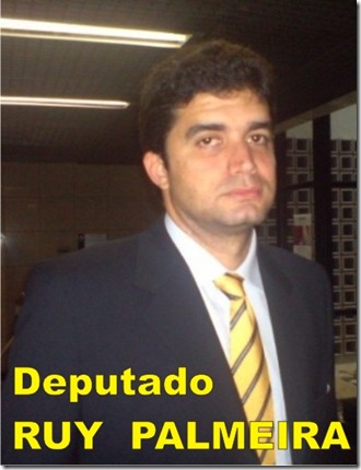 ruy palmeira