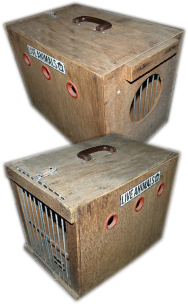 wooden dog crates for sale