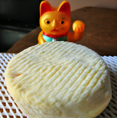 fromage fait maison, faire son fromage, laiterie de paris, blog fromage, blog fromage maison, faire un fromage lactique, affinage maison, affinage fromage, affinage frigo