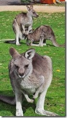 20140525_094223