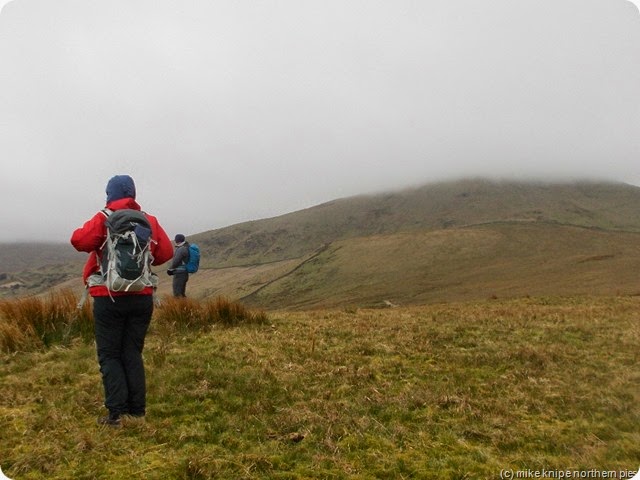 ignoring hesk fell