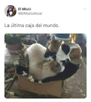 la ultima caja del mundo humor