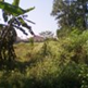 View album