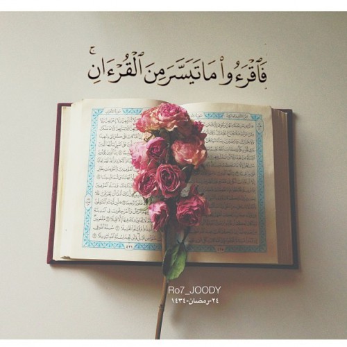 Quran Quotes