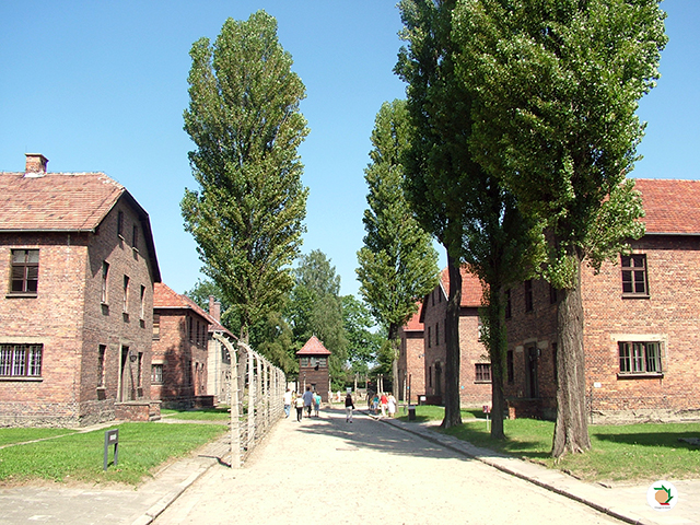 Auschwitz