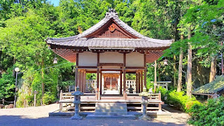 人文研究見聞録：阿賀神社（野口町） ［滋賀県］