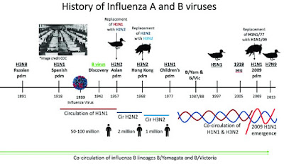 Timeline of the history influenza virus
