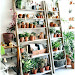 30+ Awesome Diy Plant Shelf Design Ideas To Organize Your Garden