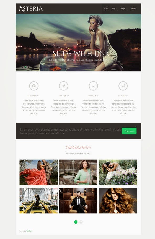 top wp themes 2014