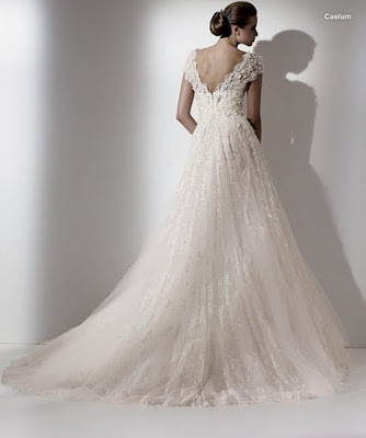 Elie Saab's wedding dress style Caelum is an ivory vneck neckline aline 