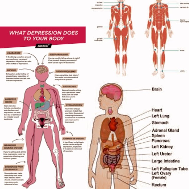 Body pain and body pain relief and mapping / symptoms/ causes.