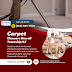 Powerpro Carpet Cleaning Monmouth County NJ Google Business Profile Post