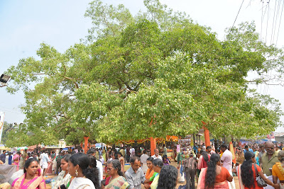 ഓച്ചിറ പന്ത്രണ്ട്‌ വിളക്ക്‌ മഹോത്സവം വൃശ്ചികോത്സവം Oachira Vrischikam Festival 12th Vilakku